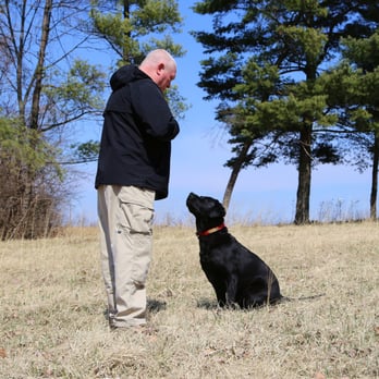 New Beginnings K-9 Training - Terry, a training team member, works with his search and rescue dog, Shadow on maintaining eye contact. - Pet Training Near Me - Erlanger, Kentucky