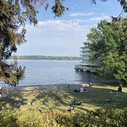 Lake viewpoint