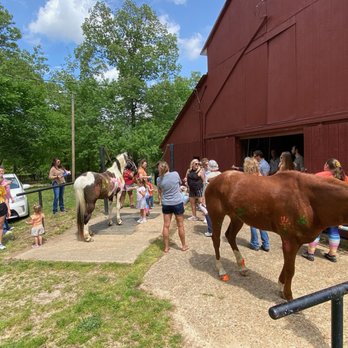 Raintree Equestrian Center - Horse Painting - Horseback Riding Near Me - Olive Branch, Mississippi Raintree Equestrian Center - Horse Painting - Horseback Riding Near Me - Olive Branch, Mississippi
