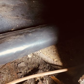 Tony's Pest Killers - The vapor barrier was rolled up in certain areas because they did not pin it to the ground. Trash/debris was left under and on top. - Pest Control Near Me - Virginia Beach, Virginia Tony's Pest Killers - The vapor barrier was rolled up in certain areas because they did not pin it to the ground. Trash/debris was left under and on top. - Pest Control Near Me - Virginia Beach, Virginia