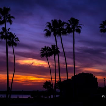 White Lily Films - Landscapes - Video/Film Production Near Me - Phoenix, Arizona
