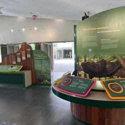 El Portal Rain Forest Center