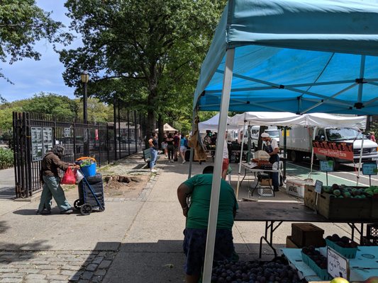 Sunnyside Greenmarket by null
