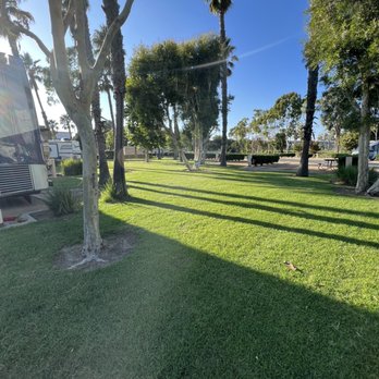 Golden Shore RV Resort  - Open green area behind coach - Campgrounds Near Me - Long Beach, California