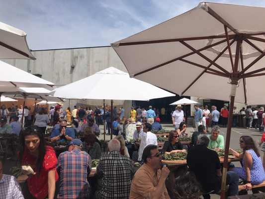 DuMOL Winery by null