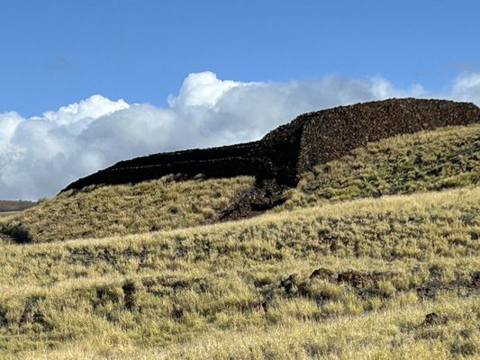Puʻukoholā Heiau National Historic Site by null