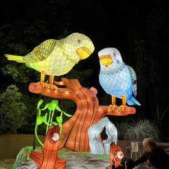 LA Zoo Lights - Zoos Near Me - Los Angeles, California LA Zoo Lights - Zoos Near Me - Los Angeles, California