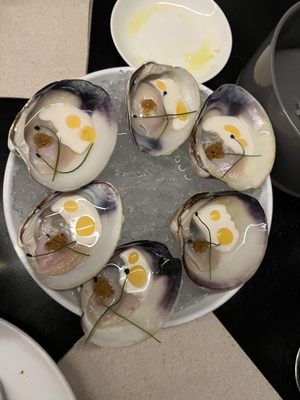 Wildair by null Wildair by null