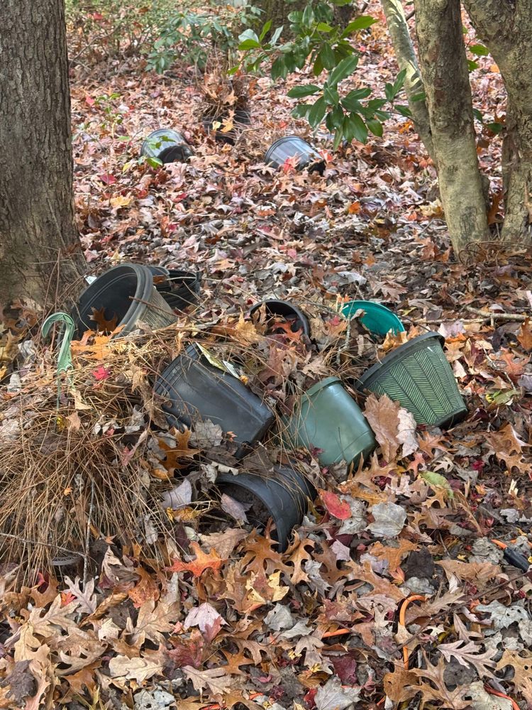 Dump 4 You - veterans service organization in Chesnee, SC