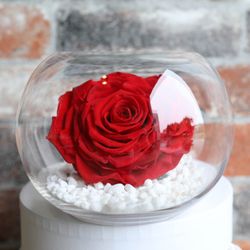 Deja Vu Flowers - Preserved Roses