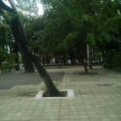 Praça das Flores