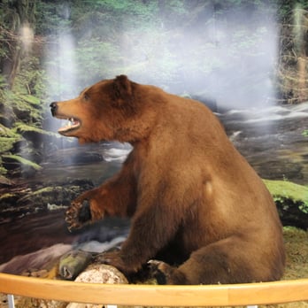 DIPAC/Macaulay Salmon Hatchery - Tours Near Me - Juneau, Alaska DIPAC/Macaulay Salmon Hatchery - Tours Near Me - Juneau, Alaska