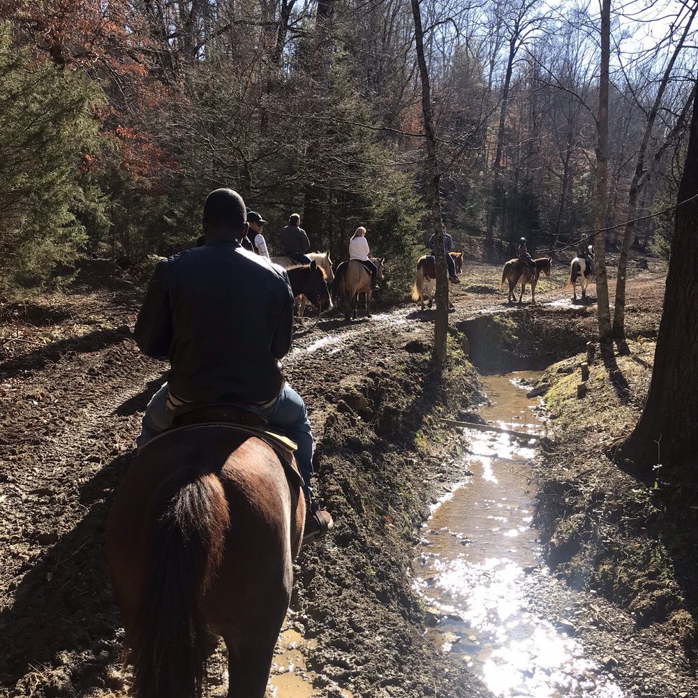 Five Oaks Riding Stables - Horseback Riding Near Me - Sevierville, Tennessee Five Oaks Riding Stables - Horseback Riding Near Me - Sevierville, Tennessee