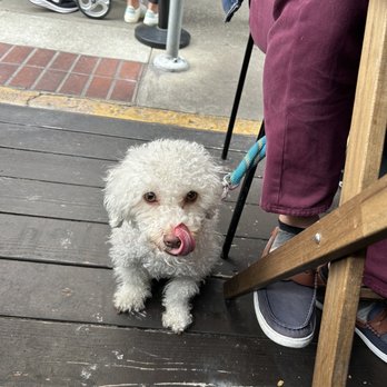 Pancake Boy - Little Eloise licking her lips after some Chicken Apple Sausages tasters - Breakfast & Brunch Near Me - San Francisco, California Pancake Boy - Little Eloise licking her lips after some Chicken Apple Sausages tasters - Breakfast & Brunch Near Me - San Francisco, California