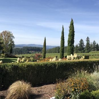 Alloro Vineyard - Fantastic landscaping and view! - Wineries Near Me - Sherwood, Oregon Alloro Vineyard - Fantastic landscaping and view! - Wineries Near Me - Sherwood, Oregon