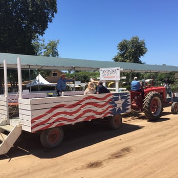 The Flower Fields - Wagon ride! - Venues & Event Spaces Near Me - Carlsbad, California The Flower Fields - Wagon ride! - Venues & Event Spaces Near Me - Carlsbad, California