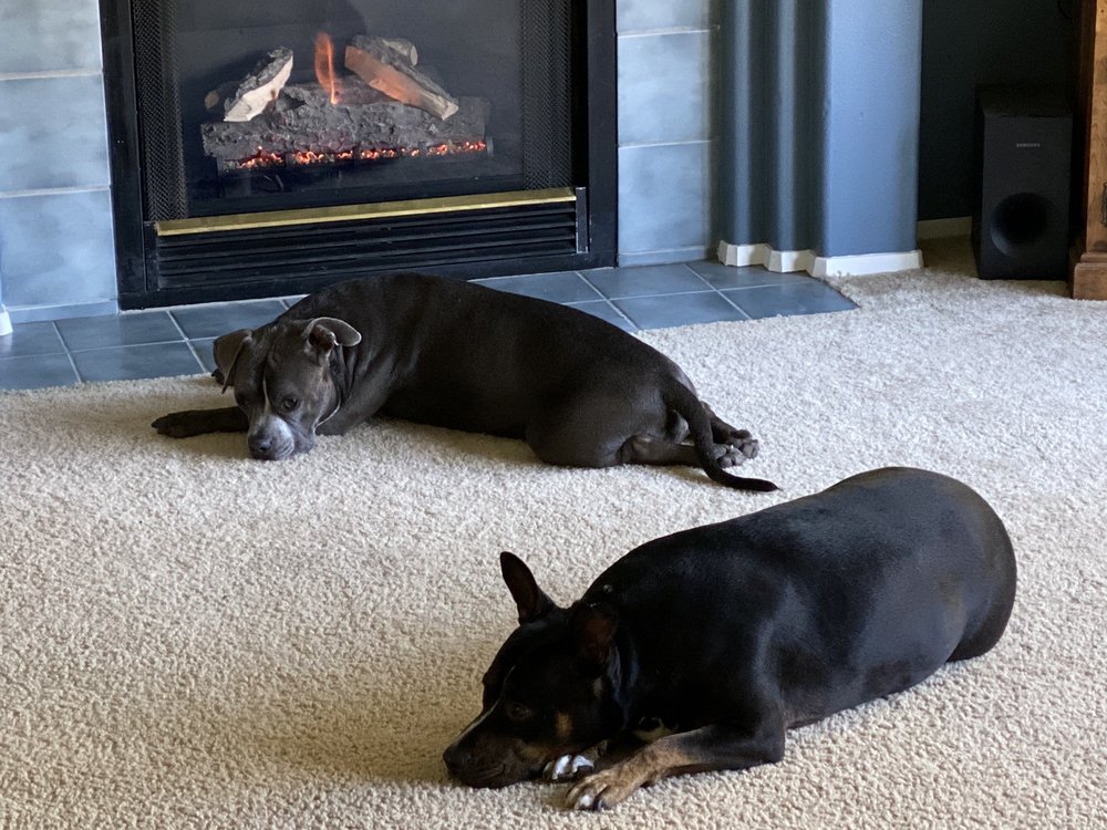 RR FIREPLACE 22 Reviews Fireplace Services 8222 319th St