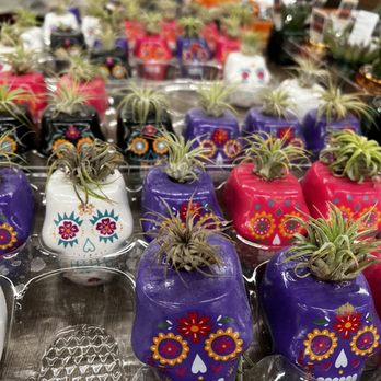 ALDI - a display of air plants in colorful pots - Grocery Near Me - Santa Ana, California