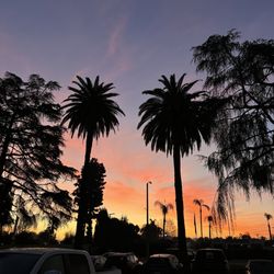 Torrey Pines Apartments - Morning sunrises from the front