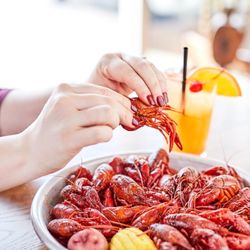 Half Shells - Crawfish