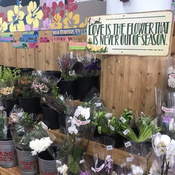 Trader Joe's - Grocery Near Me - Queens, New York Trader Joe's - Grocery Near Me - Queens, New York