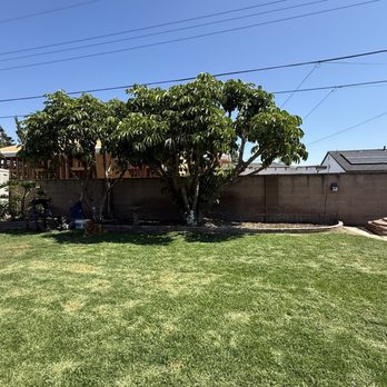 Noble Saint - Before - Landscaping Near Me Noble Saint - Before - Landscaping Near Me
