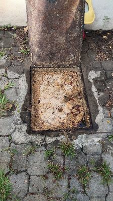 Zoo Negara Malaysia by null