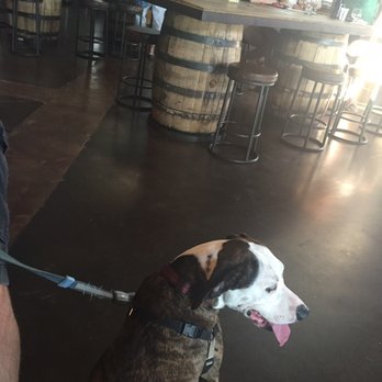 Ocelot Brewing Company - Puppy friendly - Breweries Near Me - Dulles, Virginia