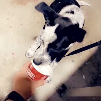 Cold Stone Creamery - Ice Cream & Frozen Yogurt Near Me - Sacramento, California