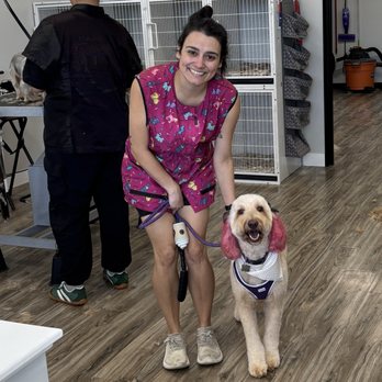 Dapper Dog Spa - Pretty glam up - Pet Groomers Near Me - Whittier, California Dapper Dog Spa - Pretty glam up - Pet Groomers Near Me - Whittier, California