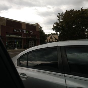 Mutts & Co - Racist and biased establishment. - Pet Groomers Near Me - Upper Arlington, Ohio Mutts & Co - Racist and biased establishment. - Pet Groomers Near Me - Upper Arlington, Ohio