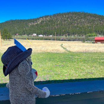 Cabin Butler - Taking in the view of beautiful Greer AZ. - Vacation Rentals Near Me - Greer, Arizona