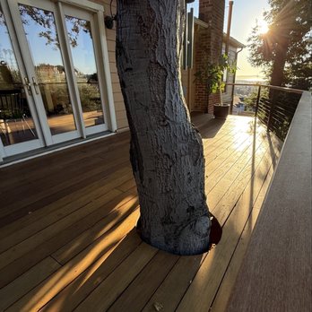 D3 Studio - Working around an oak tree - Decks & Railing Near Me