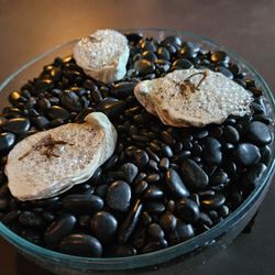 Sushi by Scratch - Complimentary oyster