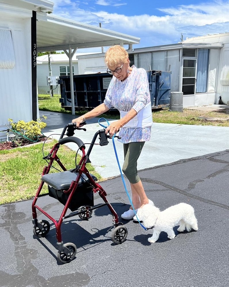 Bark UnivercityK9 - pet boarding facility in Jacksonville, FL