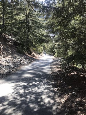 San Antonio Falls Trailhead by null