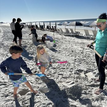 Seashells & Sandcastles LLC - Art Classes Near Me