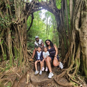 Uncle Smiley Tours - Manoa Falls hike - Bus Tours Near Me Uncle Smiley Tours - Manoa Falls hike - Bus Tours Near Me