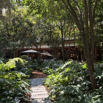 Zanaya - Mexican Near Me - Ciudad de México, DIF