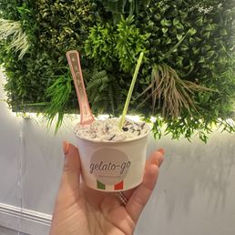 Small (1 scoop)