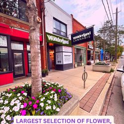 Wonderland Cannabis - Outside of Wonderland Cannabis |Weed Dispensary Toronto