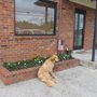 Photo of Lavergne Veterinary Clinic