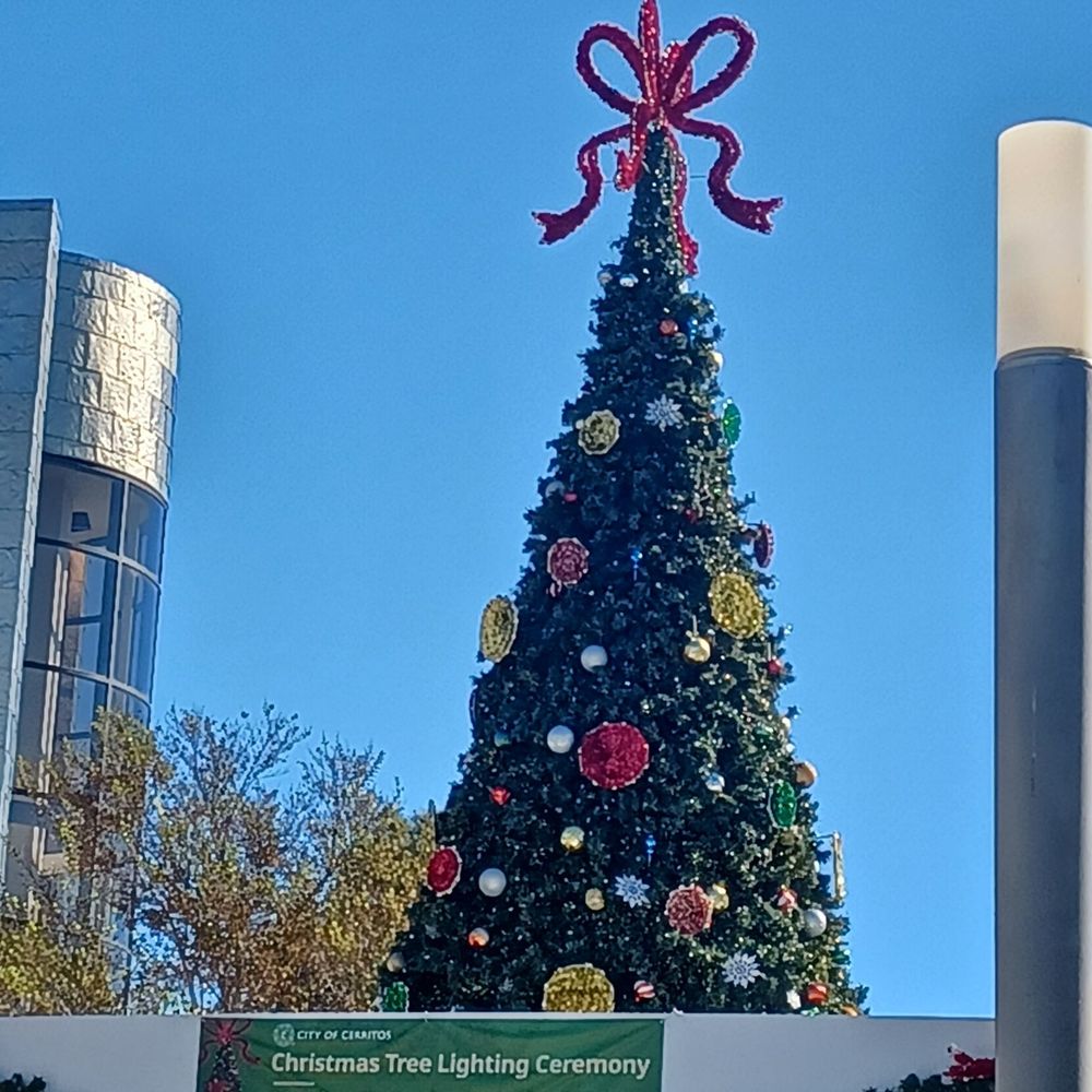Seasonal display as you're walking up