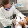 Photo of Broad Ripple Animal Clinic