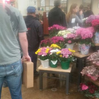 Bel Air - Mon 4-17-17. 3:45pm The line at at the post office/ service desk. Crazy!! - Grocery Near Me - Roseville, California Bel Air - Mon 4-17-17. 3:45pm The line at at the post office/ service desk. Crazy!! - Grocery Near Me - Roseville, California