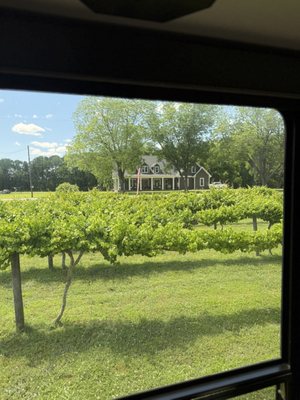 A Secret Garden Winery by null