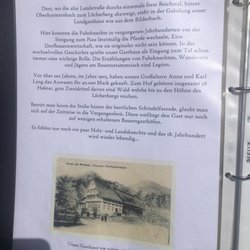 Zur Linde - Geschichte der Linde