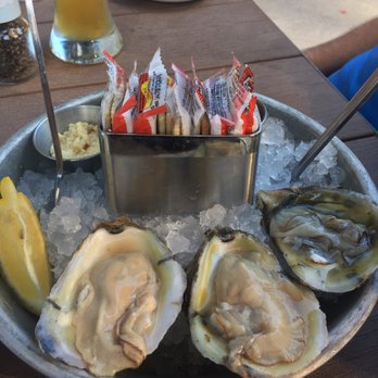 Plank Provisions - Free for checking in on yelp! Oysters yum - Seafood Near Me - Omaha, Nebraska Plank Provisions - Free for checking in on yelp! Oysters yum - Seafood Near Me - Omaha, Nebraska