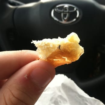 Lee's Donuts - Picture of a dead fly in my donut this morning! - Donuts Near Me - Hayward, California Lee's Donuts - Picture of a dead fly in my donut this morning! - Donuts Near Me - Hayward, California