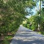 Photo of Gordon River Greenway Park
